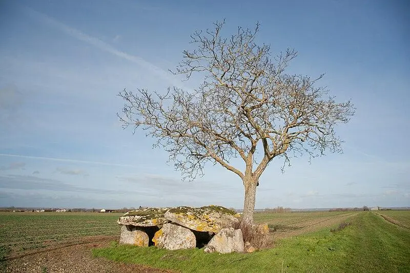 Picture of Dolmen de Vaon - Ludovic Péron - © Creative Commons (https://creativecommons.org/licenses/by-sa/4.0/deed.fr)