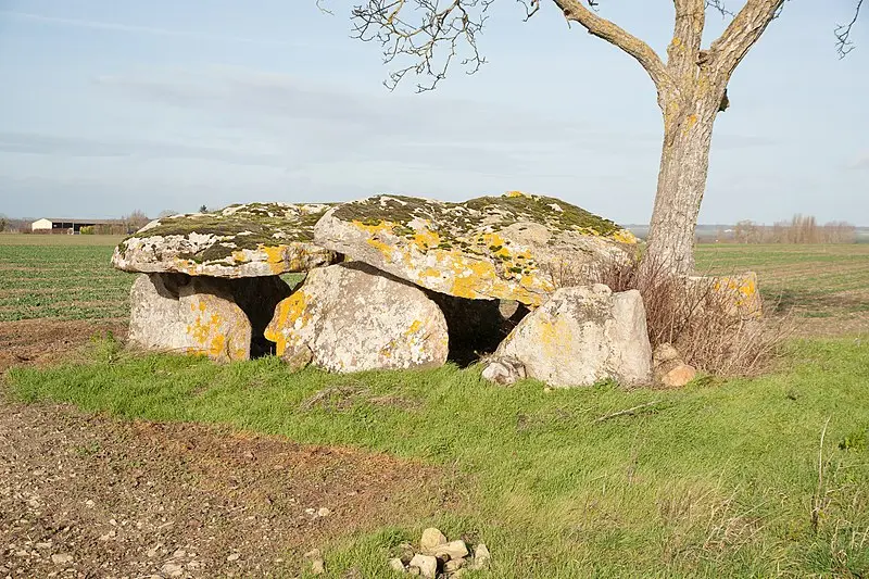 Picture of Dolmen de Vaon - Ludovic Péron - © Creative Commons (https://creativecommons.org/licenses/by-sa/4.0/deed.fr)