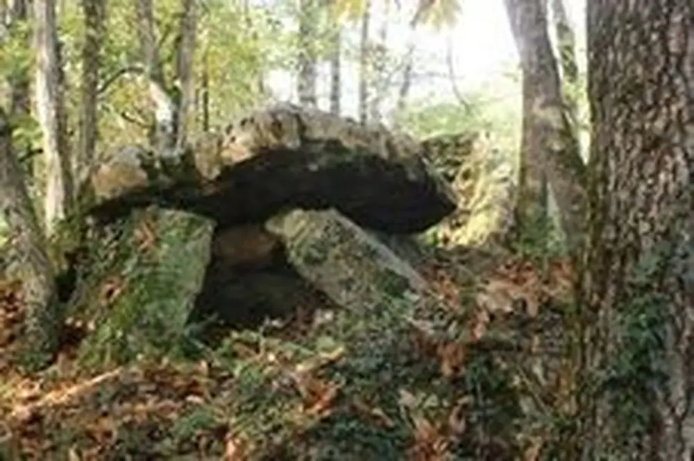 Picture of Menhir says the stone-levé-de-Courçé - POP Plateforme Ouverte du Patrimoine / Base Mérimée - © Ministère de la Culture (France), Direction Régionale des Affaires Culturelles de Nouvelle-Aquitaine – Tous droits réservés 