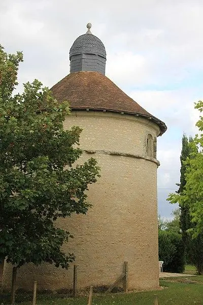 Foto von Taube - Jm.durand - © Creative Commons (https://creativecommons.org/licenses/by-sa/4.0/deed.fr)
