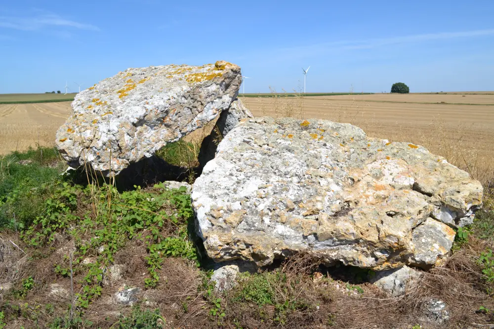 Foto von Dolmen sagt Pierre Levée de Masssigny - Sous licence Creative Commons (https://creativecommons.org/licenses/by-sa/4.0/deed.fr) - Par Liberliger - © Creative Commons (https://creativecommons.org/licenses/by-sa/4.0/deed.fr)