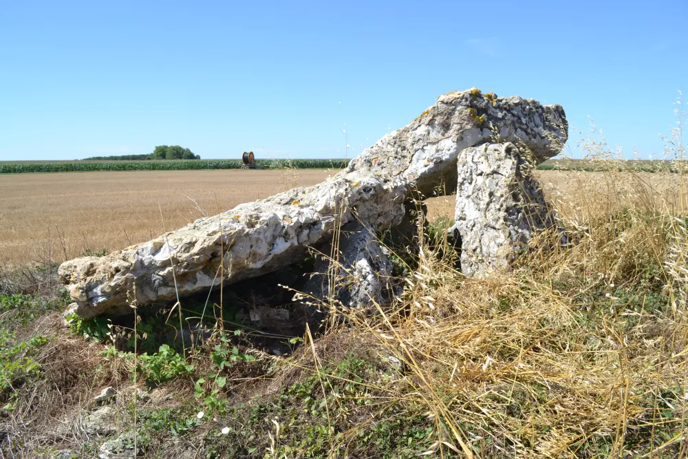 Foto von Dolmen sagt Pierre Levée de Masssigny - Sous licence Creative Commons (https://creativecommons.org/licenses/by-sa/4.0/deed.fr) - Par Liberliger - © Creative Commons (https://creativecommons.org/licenses/by-sa/4.0/deed.fr)