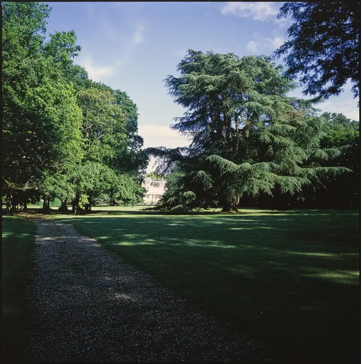 Picture of Chartreuse garden - POP Plateforme Ouverte du Patrimoine / Base Mérimée - © Donation VMF, Ministère de la Culture (France), Médiathèque du patrimoine et de la photographie, diffusion GrandPalaisRmn Photo