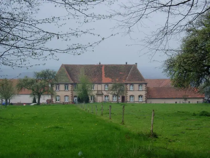 Foto von Geschlechterburg - Auteur inconnu - © Creative Commons (https://creativecommons.org/licenses/by-sa/4.0/deed.fr)