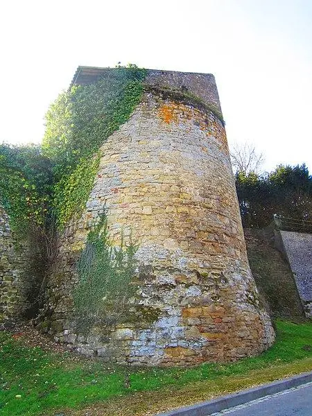 Foto von Châteaux de Roussy-Seineurie und Roussy-Comté - Aimelaime - © Creative Commons (https://creativecommons.org/licenses/by-sa/4.0/deed.fr)