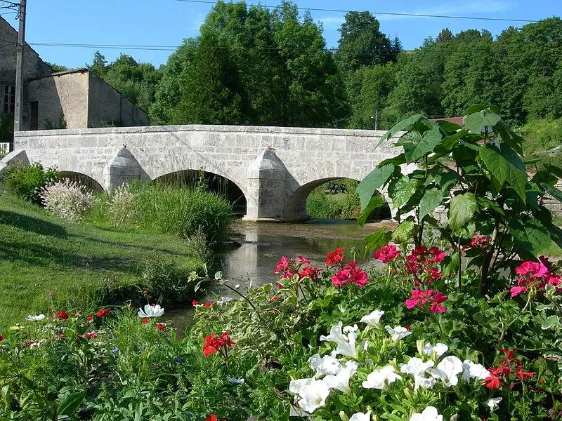 Foto von Alte Brücke über die Frezelle stromaufwärts der Grande-Rue - OT ouest Vosges - © Creative Commons (https://creativecommons.org/licenses/by-sa/4.0/deed.fr)