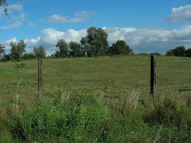 Foto von Feudal - Médard - © Creative Commons (https://creativecommons.org/licenses/by-sa/4.0/deed.fr)