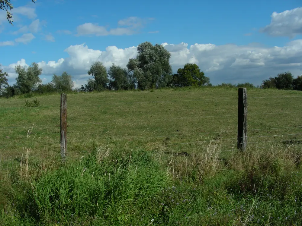 Foto von Feudal - Sous licence Creative Commons (https://creativecommons.org/licenses/by-sa/4.0/deed.fr) - Par Médard - © Creative Commons (https://creativecommons.org/licenses/by-sa/4.0/deed.fr)