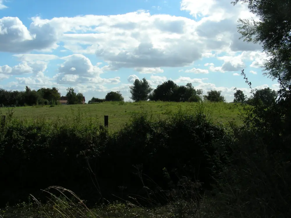 Foto von Feudal - Sous licence Creative Commons (https://creativecommons.org/licenses/by-sa/4.0/deed.fr) - Par Médard - © Creative Commons (https://creativecommons.org/licenses/by-sa/4.0/deed.fr)