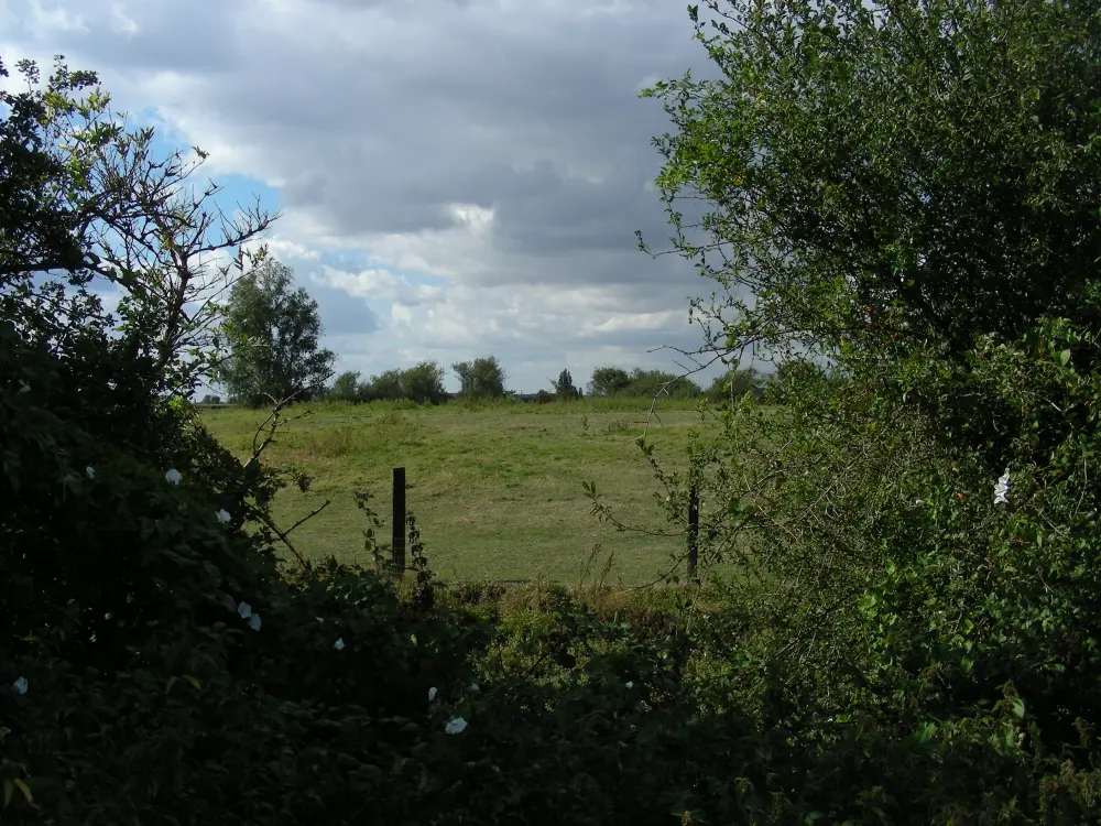 Foto von Feudal - Sous licence Creative Commons (https://creativecommons.org/licenses/by-sa/4.0/deed.fr) - Par Médard - © Creative Commons (https://creativecommons.org/licenses/by-sa/4.0/deed.fr)