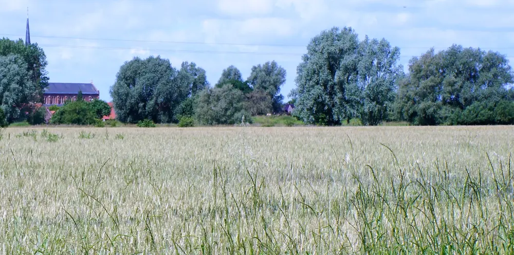 Foto von Feudal - Sous licence Creative Commons (https://creativecommons.org/licenses/by-sa/4.0/deed.fr) - Par Pierre André Leclercq - © Creative Commons (https://creativecommons.org/licenses/by-sa/4.0/deed.fr)
