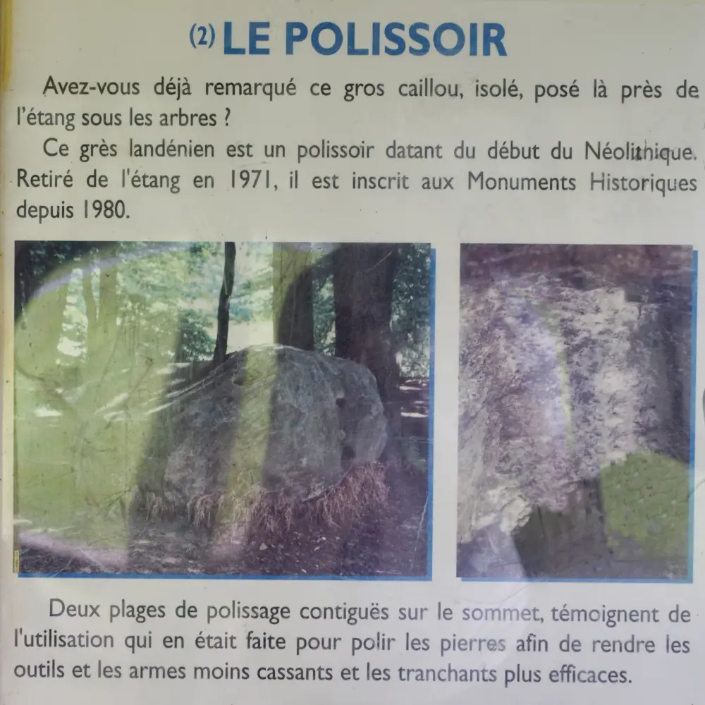 Foto de Pulidora - Sous licence Creative Commons (https://creativecommons.org/licenses/by-sa/4.0/deed.fr) - Par Eremytes - © Creative Commons (https://creativecommons.org/licenses/by-sa/4.0/deed.fr)