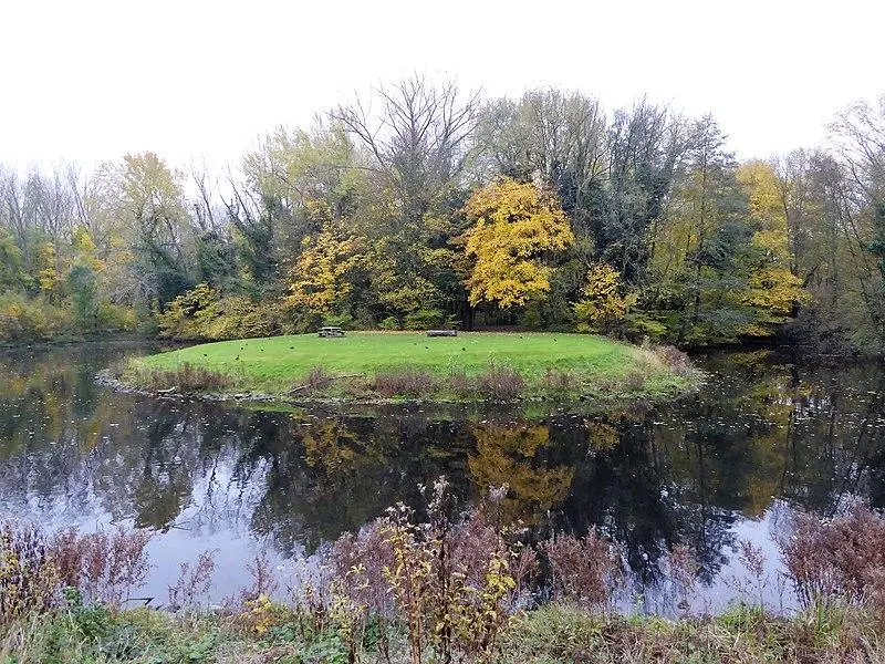 Foto von Taube - Pierre André Leclercq - © Creative Commons (https://creativecommons.org/licenses/by-sa/4.0/deed.fr)