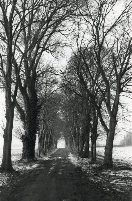 Foto von Ehemaliger Château de la Bucquière - POP Plateforme Ouverte du Patrimoine / Base Mérimée - © Ministère de la Culture (France), Médiathèque du patrimoine et de la photographie, tous droits réservés