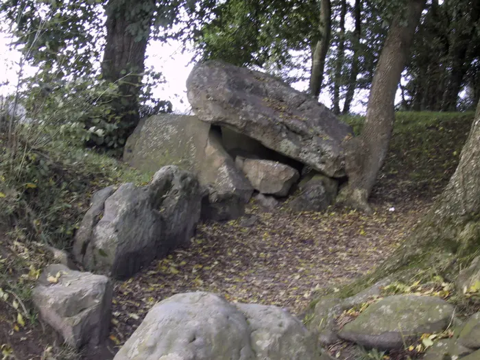 Foto de Dolmen la mesa de hadas - The original uploader was Pir6mon at French Wikipe - © Creative Commons (https://creativecommons.org/licenses/by-sa/4.0/deed.fr)