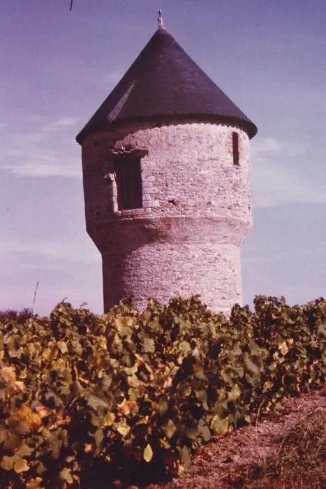 Foto von Moulin de Rochoux - POP Plateforme Ouverte du Patrimoine / Base Mérimée - © Ministère de la Culture (France), Médiathèque du patrimoine et de la photographie, tous droits réservés