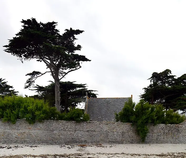 Foto von Saint-Goustan Church - Poulpy - © Creative Commons (https://creativecommons.org/licenses/by-sa/4.0/deed.fr)