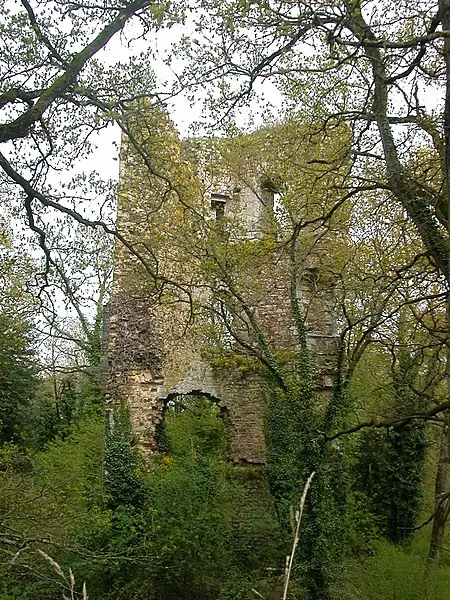 Foto de Castillo - Pymouss44 - © Creative Commons (https://creativecommons.org/licenses/by-sa/4.0/deed.fr)