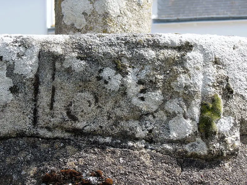 Picture of Curly Cross Curl - Jibi44 - © Creative Commons (https://creativecommons.org/licenses/by-sa/4.0/deed.fr)