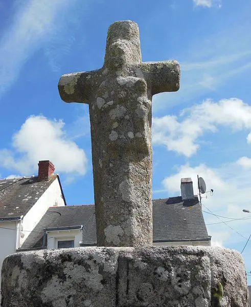 Picture of Curly Cross Curl - Jibi44 - © Creative Commons (https://creativecommons.org/licenses/by-sa/4.0/deed.fr)