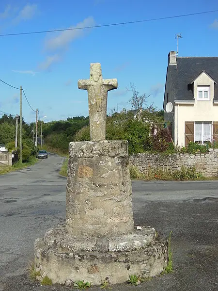 Picture of Curly Cross Curl - Jibi44 - © Creative Commons (https://creativecommons.org/licenses/by-sa/4.0/deed.fr)