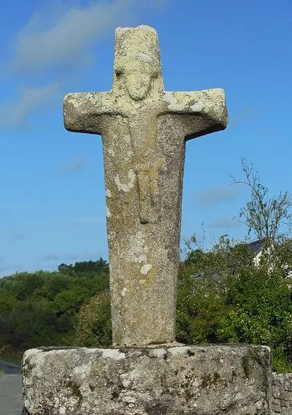 Foto de Rizo cruzado - Jibi44 - © Creative Commons (https://creativecommons.org/licenses/by-sa/4.0/deed.fr)