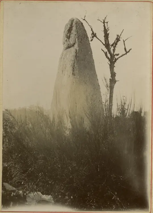 Picture of Menhir - POP Plateforme Ouverte du Patrimoine / Base Mérimée - © Ministère de la Culture (France), Médiathèque du patrimoine et de la photographie, diffusion GrandPalaisRmn Photo