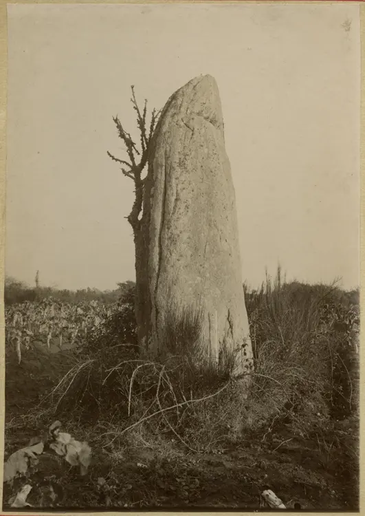 Picture of Menhir - POP Plateforme Ouverte du Patrimoine / Base Mérimée - © Ministère de la Culture (France), Médiathèque du patrimoine et de la photographie, diffusion GrandPalaisRmn Photo