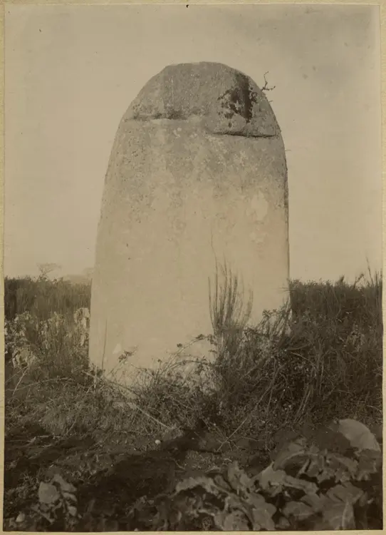 Picture of Menhir - POP Plateforme Ouverte du Patrimoine / Base Mérimée - © Ministère de la Culture (France), Médiathèque du patrimoine et de la photographie, diffusion GrandPalaisRmn Photo