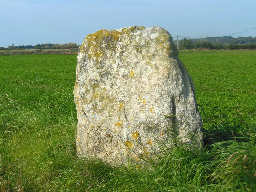 Foto de Menhir dice la piedra sailli - Sous licence Creative Commons (https://creativecommons.org/licenses/by-sa/4.0/deed.fr) - Par Jibi44 - © Creative Commons (https://creativecommons.org/licenses/by-sa/4.0/deed.fr)