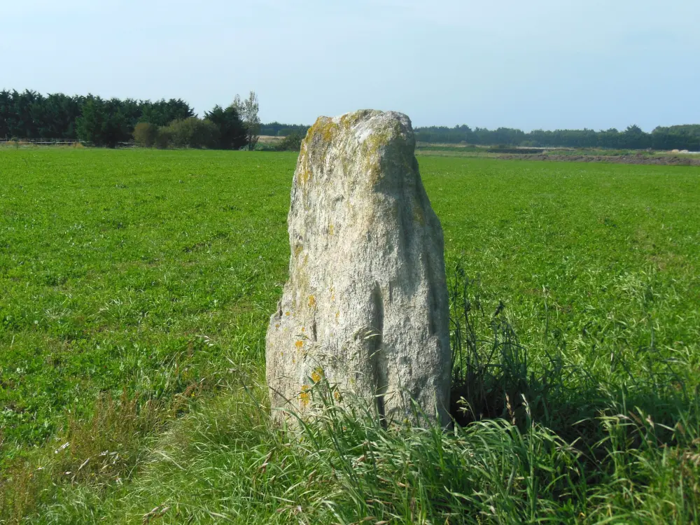 Foto de Menhir dice la piedra sailli - Sous licence Creative Commons (https://creativecommons.org/licenses/by-sa/4.0/deed.fr) - Par Jibi44 - © Creative Commons (https://creativecommons.org/licenses/by-sa/4.0/deed.fr)
