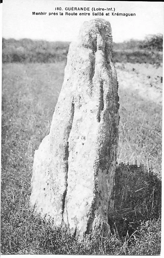 Foto de Menhir dice la piedra sailli - Sous licence Creative Commons (https://creativecommons.org/licenses/by-sa/4.0/deed.fr) - Par VT78~commonswiki - © Creative Commons (https://creativecommons.org/licenses/by-sa/4.0/deed.fr)
