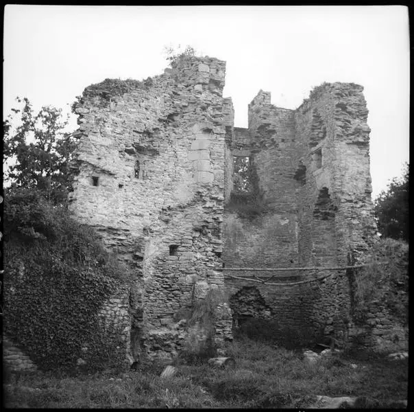 Foto von Ranroët Castle (Ruinen) - POP Plateforme Ouverte du Patrimoine / Base Mérimée - © Ministère de la Culture (France), Médiathèque du patrimoine et de la photographie, diffusion RMN-GP