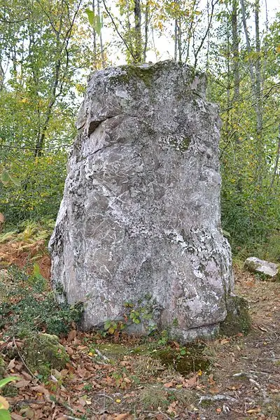 Picture of Menhir says the hochu stone - Liberliger - © Creative Commons (https://creativecommons.org/licenses/by-sa/4.0/deed.fr)