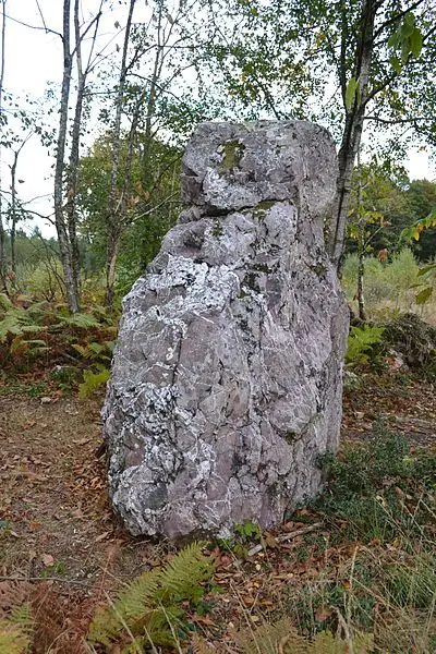 Picture of Menhir says the hochu stone - Liberliger - © Creative Commons (https://creativecommons.org/licenses/by-sa/4.0/deed.fr)