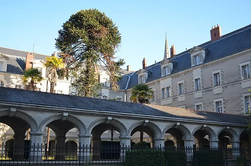 Foto di Visitazione Convento - Selbymay - © Creative Commons (https://creativecommons.org/licenses/by-sa/4.0/deed.fr)