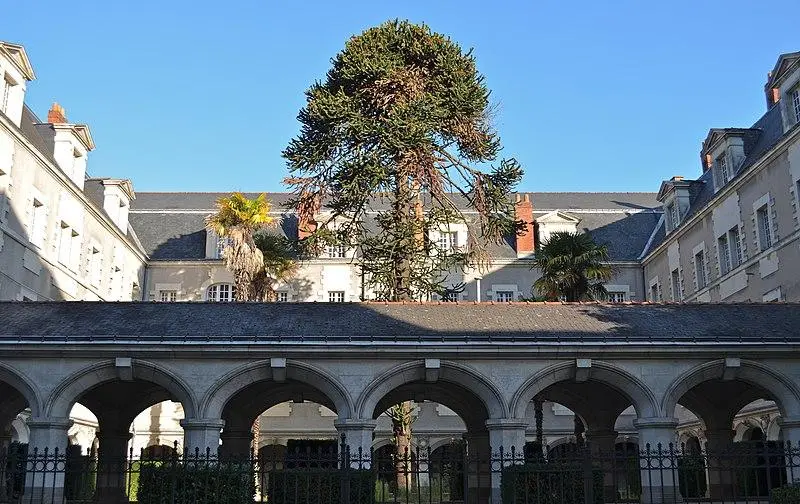 Foto de Convento de visitas - Selbymay - © Creative Commons (https://creativecommons.org/licenses/by-sa/4.0/deed.fr)