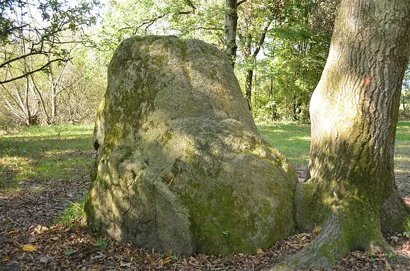 Foto de Menhirs (dos) - Selbymay - © Creative Commons (https://creativecommons.org/licenses/by-sa/4.0/deed.fr)