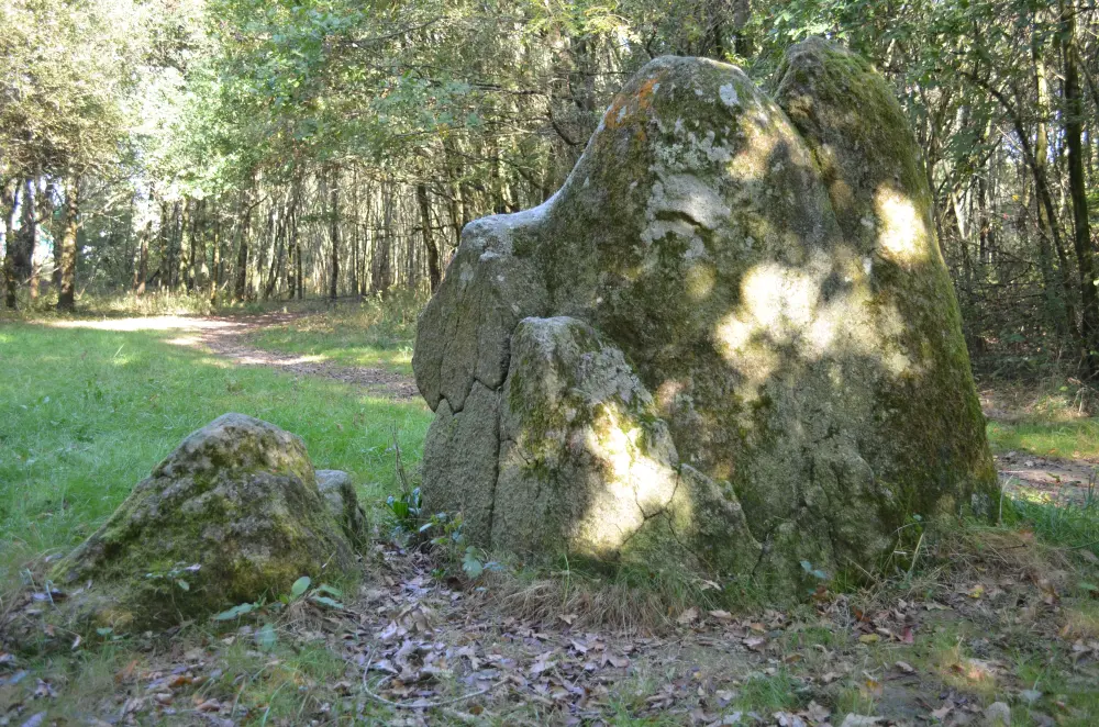 Foto de Menhirs (dos) - Sous licence Creative Commons (https://creativecommons.org/licenses/by-sa/4.0/deed.fr) - Par Selbymay - © Creative Commons (https://creativecommons.org/licenses/by-sa/4.0/deed.fr)