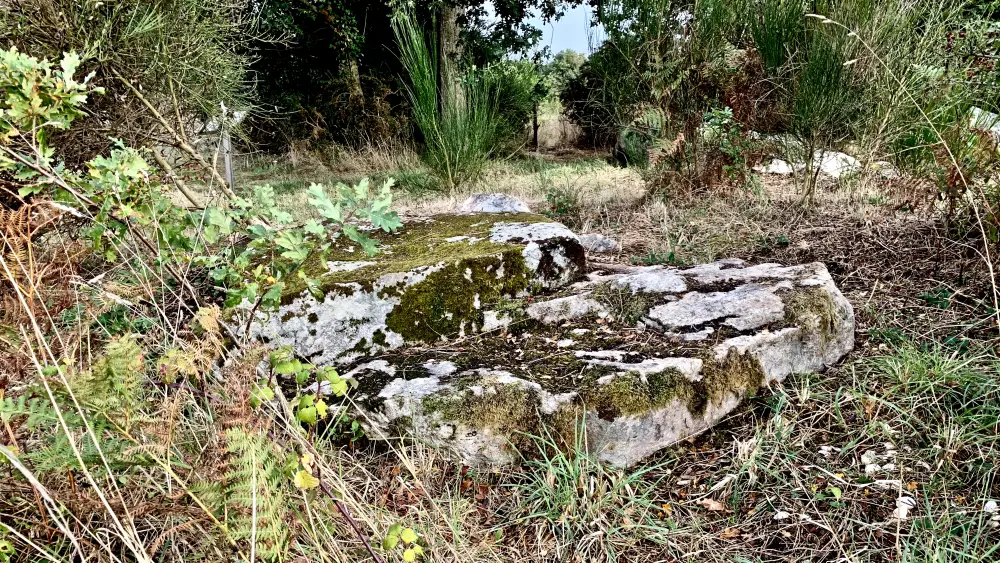 Foto von Sagten Dolmen von den Briten - Sous licence Creative Commons (https://creativecommons.org/licenses/by-sa/4.0/deed.fr) - Par Bari Élisabeth - © Creative Commons (https://creativecommons.org/licenses/by-sa/4.0/deed.fr)
