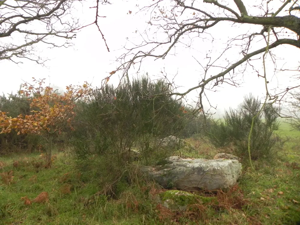 Foto von Sagten Dolmen von den Briten - Sous licence Creative Commons (https://creativecommons.org/licenses/by-sa/4.0/deed.fr) - Par Poulpy - © Creative Commons (https://creativecommons.org/licenses/by-sa/4.0/deed.fr)
