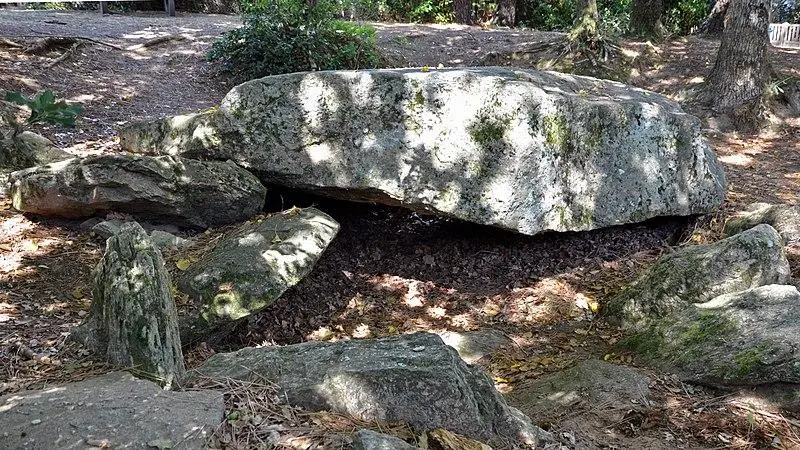 Foto von Dolmen von Rossignols - Selbymay - © Creative Commons (https://creativecommons.org/licenses/by-sa/4.0/deed.fr)