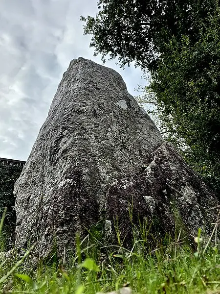 Foto von Menhir sagt die Schicht - Bari Élisabeth - © Creative Commons (https://creativecommons.org/licenses/by-sa/4.0/deed.fr)
