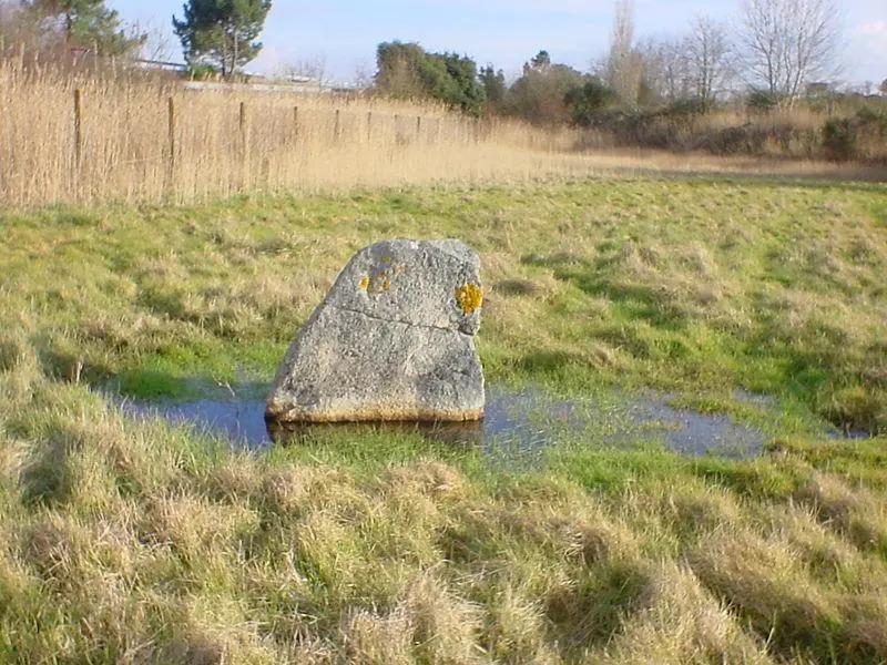 Foto von Menhir sagt den Gargentua Stone oder La Roche des Prés - Didier POINTEAU - © Creative Commons (https://creativecommons.org/licenses/by-sa/4.0/deed.fr)