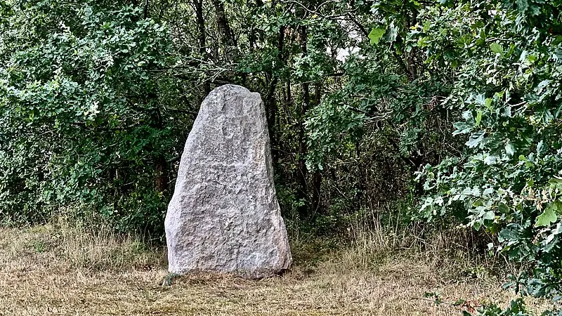 Foto von Menhir du Plessis-Gamat - Bari Élisabeth - © Creative Commons (https://creativecommons.org/licenses/by-sa/4.0/deed.fr)