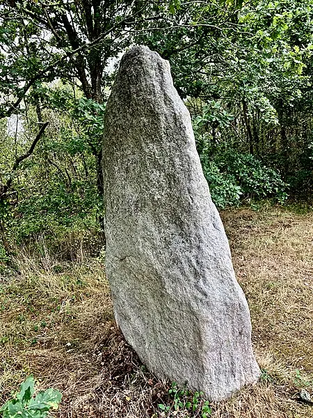 Foto von Menhir du Plessis-Gamat - Bari Élisabeth - © Creative Commons (https://creativecommons.org/licenses/by-sa/4.0/deed.fr)