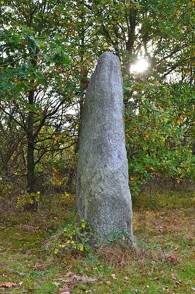 Foto von Menhir du Plessis-Gamat - Selbymay - © Creative Commons (https://creativecommons.org/licenses/by-sa/4.0/deed.fr)