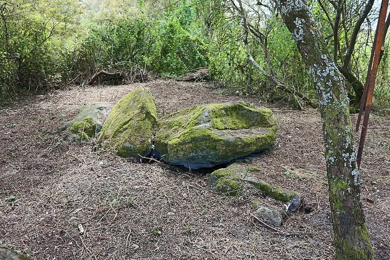 Foto di Sepolture megalitiche - Yann Gwilhoù - © Creative Commons (https://creativecommons.org/licenses/by-sa/4.0/deed.fr)