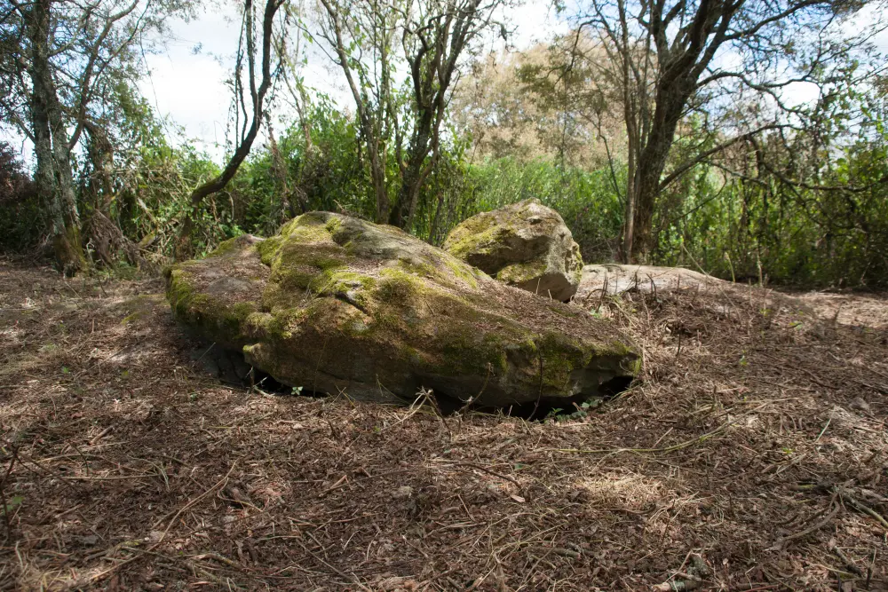 Foto di Sepolture megalitiche - Sous licence Creative Commons (https://creativecommons.org/licenses/by-sa/4.0/deed.fr) - Par Ludo29 - © Creative Commons (https://creativecommons.org/licenses/by-sa/4.0/deed.fr)