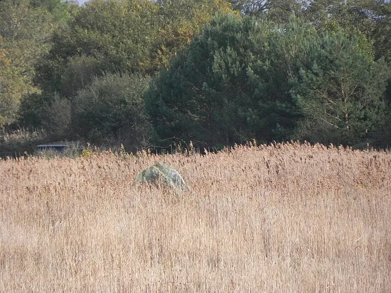 Foto de Menhir dit de Méderac de manera diferente llamado Roche de Len - Poulpy - © Creative Commons (https://creativecommons.org/licenses/by-sa/4.0/deed.fr)